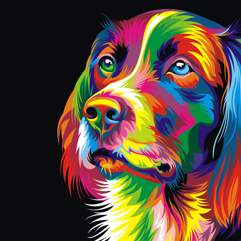 Schilderen op nummer Hond Artistiek