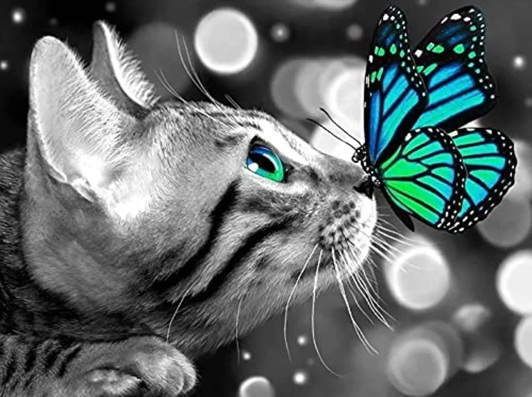 Diamond painting Kat met vlinder
